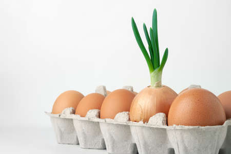 Chicken eggs and green onions. Green onions in a series of brown raw eggs in an egg box on a light background. The concept of dietary and healthy natural protein products. Selective soft focus.の写真素材