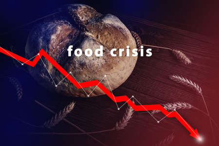food crisis. Cereal crop failure. Bread shortage. Aggressive war of Russia in Ukraine. The stolen harvest. The global threat of hunger around the world. economic crisis.の写真素材