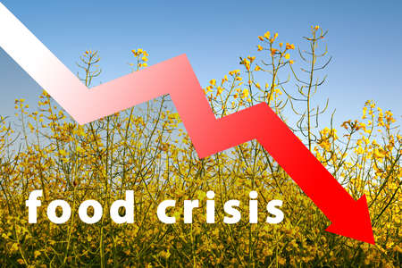 food crisis. Wheat supply problems worldwide. Lack of flour and bread. Russian war in Ukraine. The threat of starvation. reduced food supply. world scarcity concept. Level drop chart.の写真素材