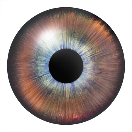Iris of the eye. human iris. eye illustration. brown eye. Creative digital graphic design.