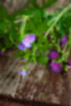 Burdock flowers. Bouquet of wild flowers on a wooden surface. Healing homeopathic plants. Close-up of a purple flower. selective soft focus. floral wallpaper. Blurred backgroundの写真素材