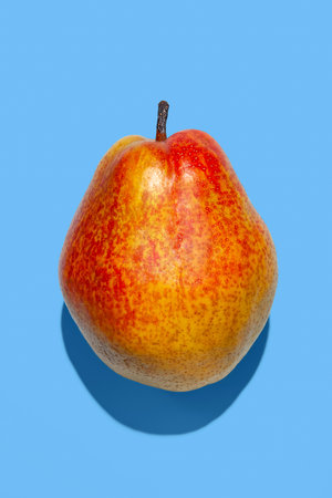Ripe pearl. Ripe pear on a blue background. one ripe fruit. sharp shadowの写真素材