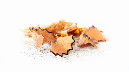 Shavings from a pencil. Wooden pencil shavings on white. sharpening debris. wooden wasteの写真素材