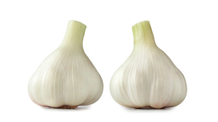 Isolated garlic set. Garlic isolated on white backgroundの写真素材