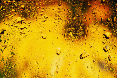 Raindrops on the window. Water drops on glass. Abstract floral background. Texture of drops. Soft focusの写真素材