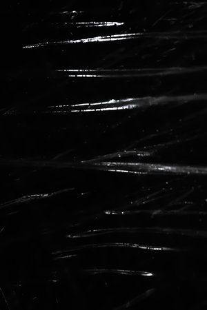 Abstract background. Polyethylene shine. Sparkling drops. Synthetic shine on black. Selective focusの写真素材