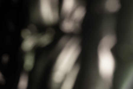 Glare surface. Abstract background. Light spots. Out of focus glow. Shiny surface. Blurred imageの写真素材
