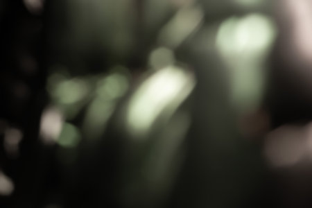 Glare surface. Abstract background. Light spots. Defocused glow. Glossy surface Blurred imageの写真素材