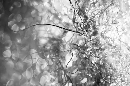Abstract background. Tangled wire close-up. Blurred glare texture. Macro image. Soft focusの写真素材