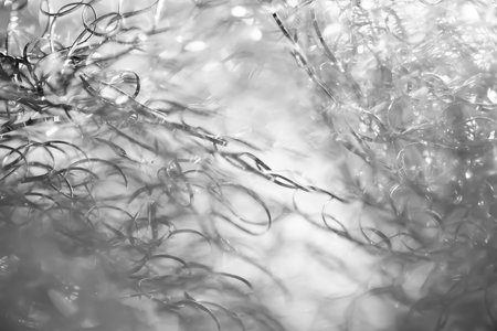 Abstract background. Tangled wire close-up. Blurred glare texture. Macro image. Selective soft focusの写真素材