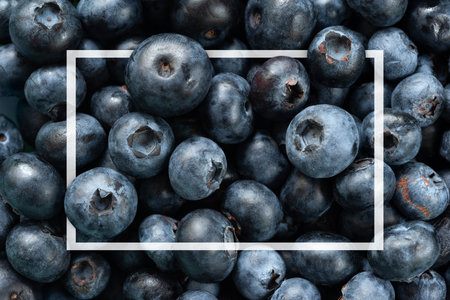 Blueberry texture mockup. Blueberry frame. Soft focusの写真素材