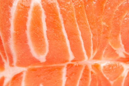 Fresh salmon. Fresh salmon fillet close-up. Selective soft focusの写真素材