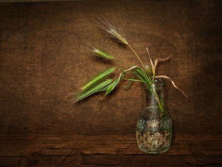 Spikelets of grass. Drying grass spikelets in a glass vase. Still life on the dark. Selective soft focusの写真素材
