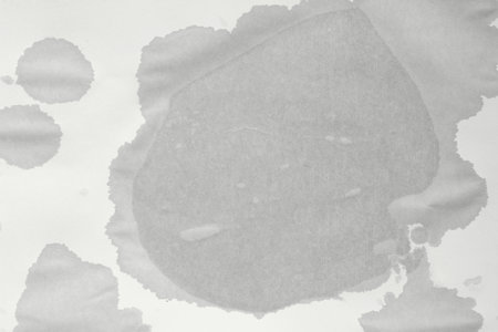 Wet spot on paper. Blank wet sheet of paper. Wet office paper. Abstract textureの写真素材