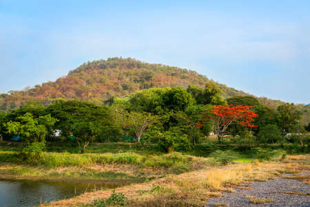 Mountain with fall color and blue sky in Thailandの写真素材
