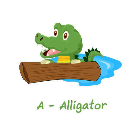 Isolated animal alphabet for the kids, A for Alligatorのイラスト素材