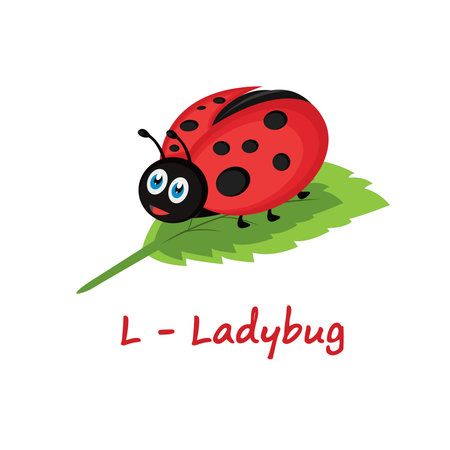 Isolated animal alphabet for the kids, L for Ladybugのイラスト素材