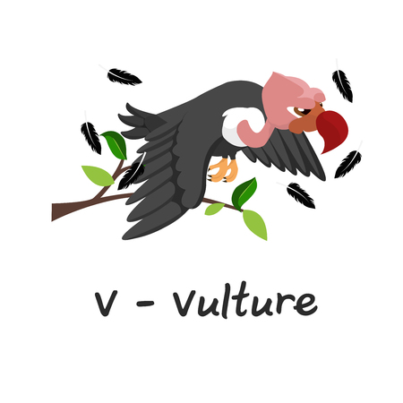 Isolated animal alphabet for the kids, V for Vultureのイラスト素材