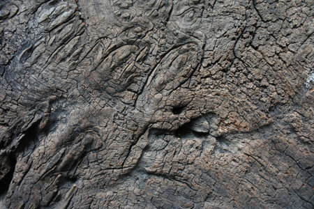 wood background texture
