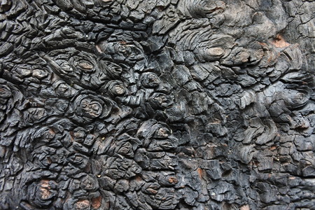 wood background textureの写真素材