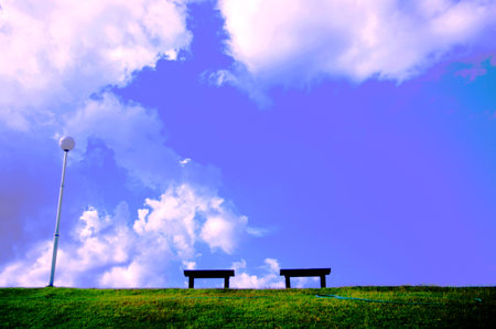 Garden in the bright day.の写真素材