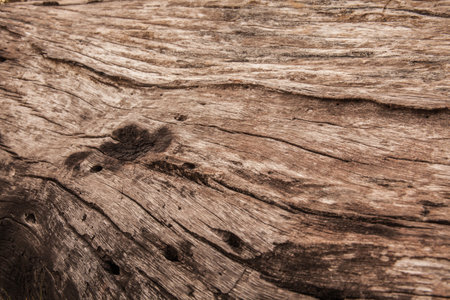 Black marks on log caused by fire.の写真素材
