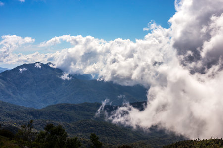 The clouds floated down to the mountains.