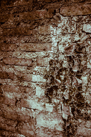 Formidable wall の写真素材