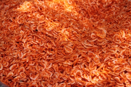 dried shrimp dried shrimp dried shrimpの写真素材