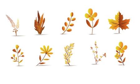 Vector designer elements set collection of green jungle ferns, tropical eucalyptus art natural leaf herbal leaves in vector style. Decorative beauty elegant illustration for designのイラスト素材
