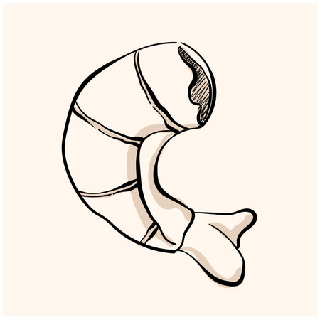shrimp doodle line art on cream backgroundのイラスト素材