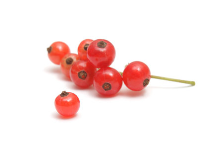 Photo of a single ripe red currant and a cluster of berries isolated on white background, shallow...