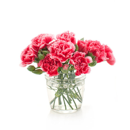 bouquet of pink carnation flowersの写真素材