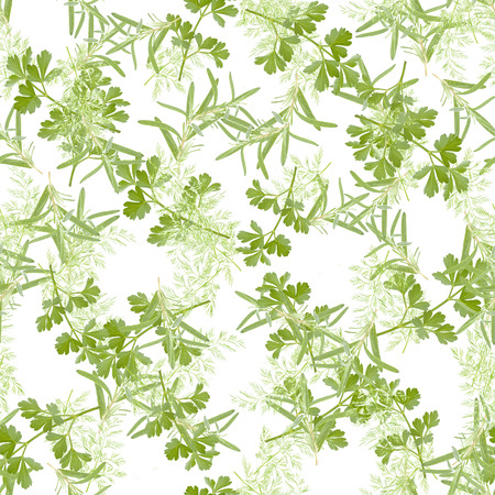 Fresh herbs on a white background, seamless patternの写真素材