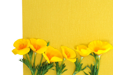 floral yellow background
