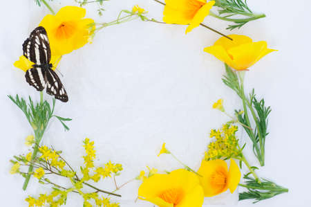 floral yellow backgroundの写真素材