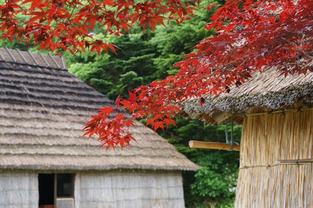 Shiraoi Ainu Museum called Porotokotan in Hokkaidoのeditorial素材