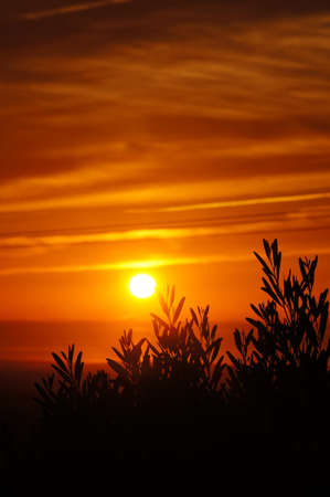 Beautiful sunset over the Atlantic Ocean, Morocco, Africaの写真素材