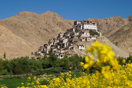 Chemrey monastery against deep blue sky in Ladakh,India