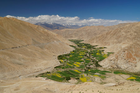 Beautiful scenic view of high mountain valley with bright foliage and yellow rape fields surrounded by rugged rocks under cloudy blue sky in Ladakh range, Northern Indiaの写真素材