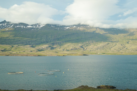 Fish farming site in summer,Icelandの写真素材