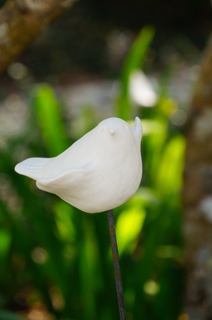 Cute white bird for decorating garden in Thailand.の写真素材