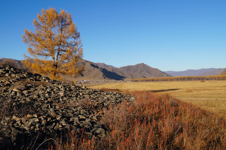 Ancient burial mounds at 
Karakol valley (Uch-Enmek park) in Altai Republic,Russia.Here you can see traces of Afanasiev, Karakol, Scythian and Turkic culture.の写真素材
