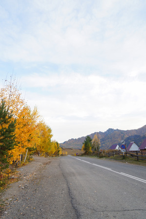 Beautiful way in the Katun river valley, Altai,Russia.の写真素材