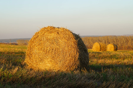 Hay bales on the hill in evening sunlight,Altai Republic,Russia.の写真素材