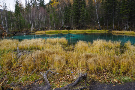 Beautiful Geyser Lake with blue clay in autumn, Altai Republic, Russia.の写真素材