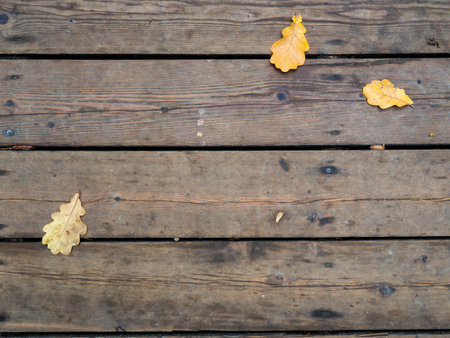 Yellow leaf on a wooden floor. Autumn atmosphere. Wooden textureの写真素材