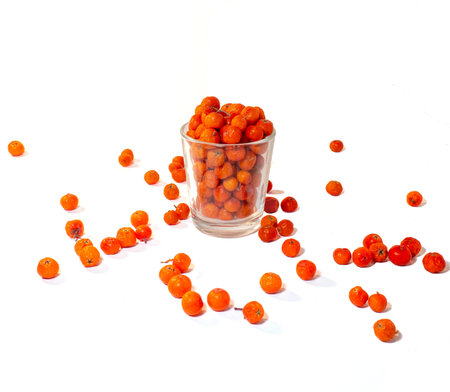 transparent glass with wrinkled rowan on white backgroundの写真素材