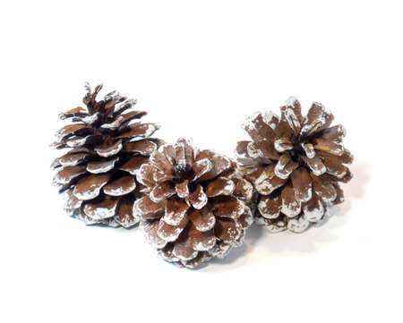 New Year's decoration , pine cones in the snow.の写真素材