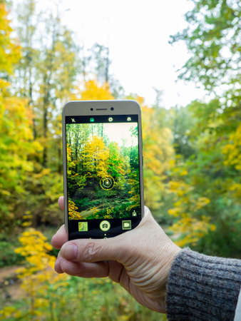 Photographing the autumn forest. Phone in handの写真素材